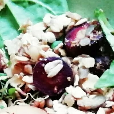Purple Carrot, Apple & Walnut Granola